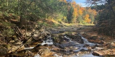 After dam removal pic, stream with fall foliage
