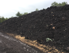 Photo of a large windrow-shaped pile of curing compost 