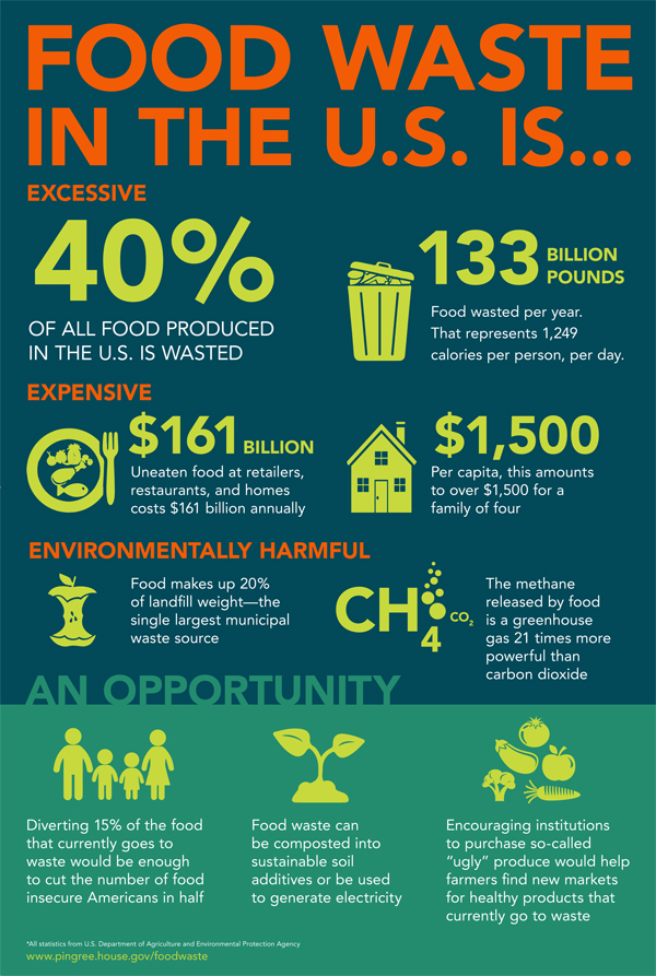 Image of a poster with the following stats about food waste in the US: 40% of all food produced;133 billion pounds wasted per year; $161 billion in uneaten food at stores, restaurants, and homes annually, which is $1,500 for a family of four; 20% of landfill weight--the single largest municipal waste source; produces methane gas, which is a greenhouse gas 21 times more powerful than carbon dioxide; provides opportunities: diverting 15% of the food that currently goes to waste would be enough to cut the number of food insecure Americans in half;  food waste can be composted into sustainable soil additives or be used to generate electricity; encouraging institutions to purchase "ugly" produce would help farmers find new markets for products that currently go to waste 