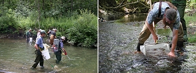 collage of Biomonitoring and Aquatic Studies activities - people wading and sampling a stream and man using a net to gather samples in a stream