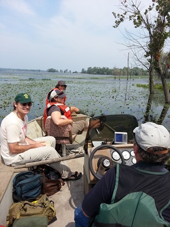 Research in Sand Bar Wildlife Management Area.  Four people sitting in a boat.  Two at the bow are wearing orange life vests and the person at the helm is wearing a green life vest.  A person sitting at the port side is wearing a green hat and no life vest.  In front of the boat is a vast area of open water with wetland plants growing in it.