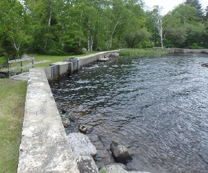 Noyes Pond Dam