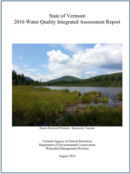 A screenshot of the cover of the 2016 WQ Assessment Report.  It shows a grassy area in the foreground, a body of water in the center and mountains with blue skies and some clouds in the background.