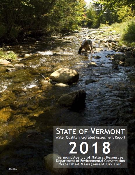 A screenshot of the cover of the 2018 WQ Assessment Report.  It shows a person kneeling in the middle of a stream on a sunny day.  The person seems to be collecting water samples.