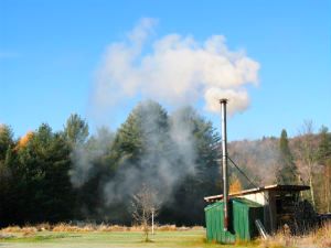 yard with outdoor wood boiler