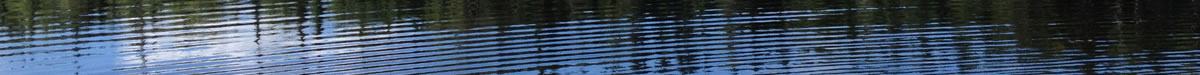 reflections on water - Wolcott Pond