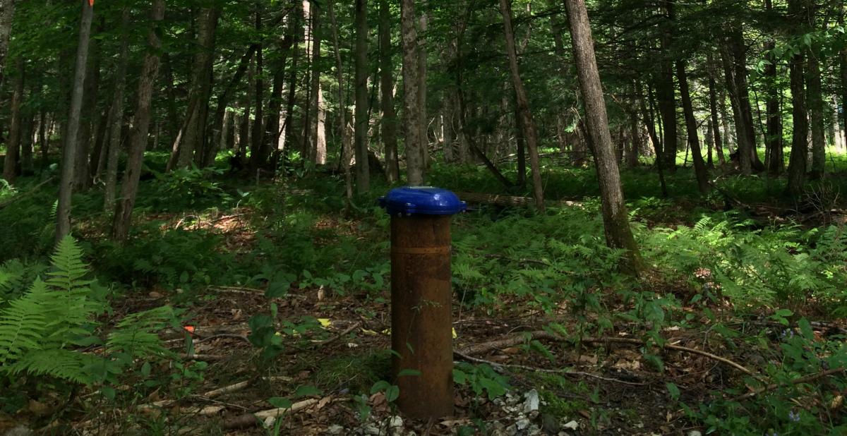 Groundwater Well in Wooded Area