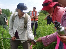 people sampling soils