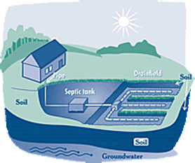 septic field illustration 