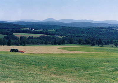 View from Coles Pond Road