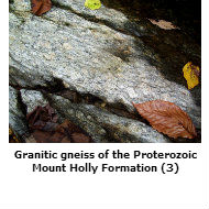 Granitic Gneiss