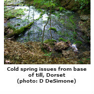 Cold spring source