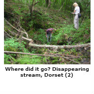 Disappearing stream