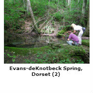Evans-deKnotbeck Spring