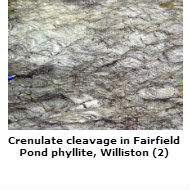 Crenulate cleavage, Williston