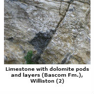 Limestone with dolomite, Williston