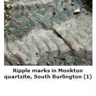Ripples in quartzite, South Burlington