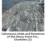 Shale and limestone, Charlotte