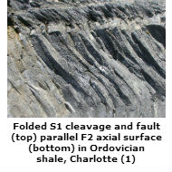 Folds and fault, Charlotte