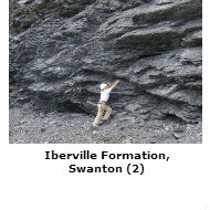 Iberville Formation, Swanton
