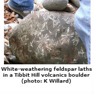 white-weathering metamorphosed volcanic rock