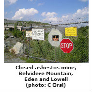 Closed asbestos mine, Belvidere Mountain