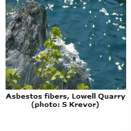 Asbestos fibers, Lowell