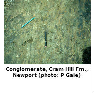 Conglomerate, Newport