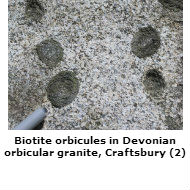 Biotite orbicules, Craftsbury
