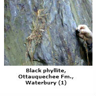 Black phyllite, Waterbury