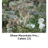 Shaw Mountain Formation, Calais