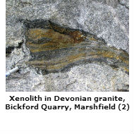 Devonian granite, Marshfield