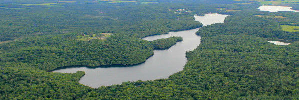 Aerial view of Great Hosmer Pond