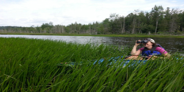 Kayaker in wetland with binoculars