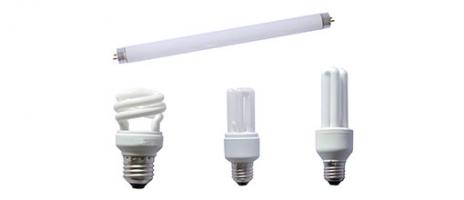 several types of light bulbs