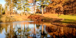 Shoreline of a pond surrounded by trees with autumn foliage. 
