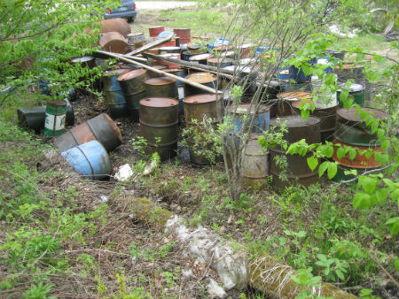 Oil barrels in the woods