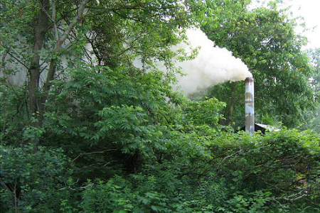 Outdoor hydronic heater stack emitting smoke in dense green vegetation