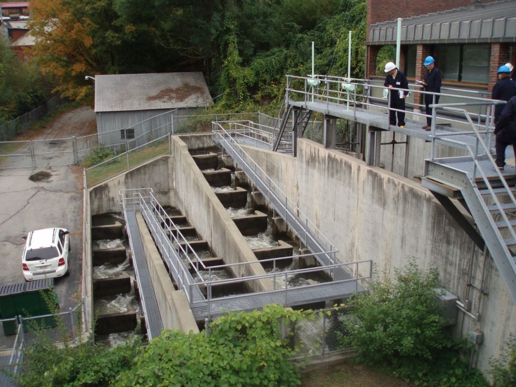 Bellows Falls Fish Ladder