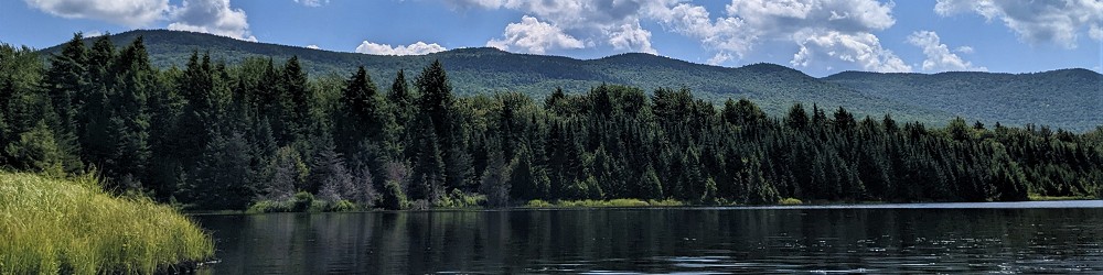 pond surrounded by evergreens with mountains in background