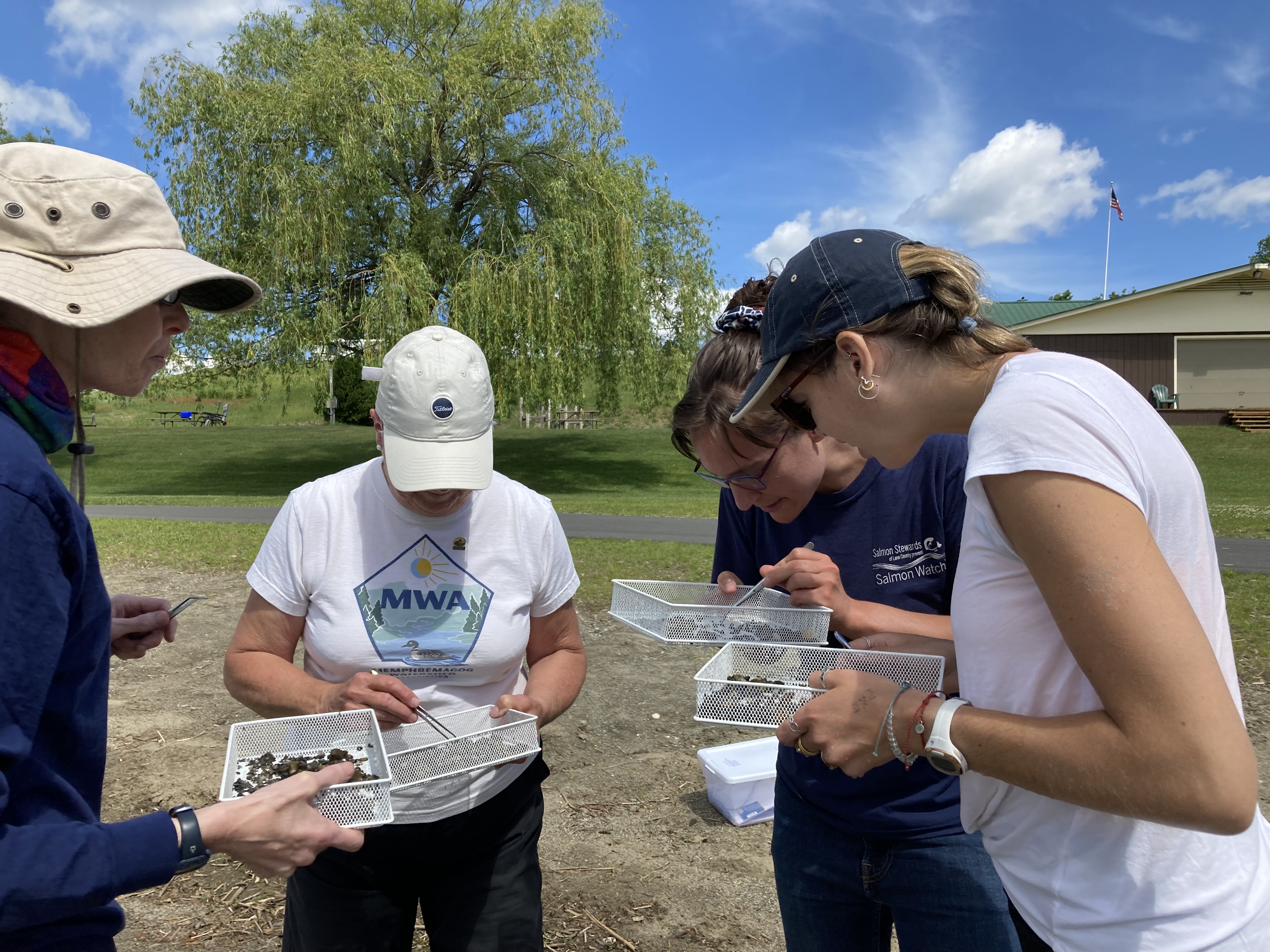 VIP participants observe specimen found along shoreline