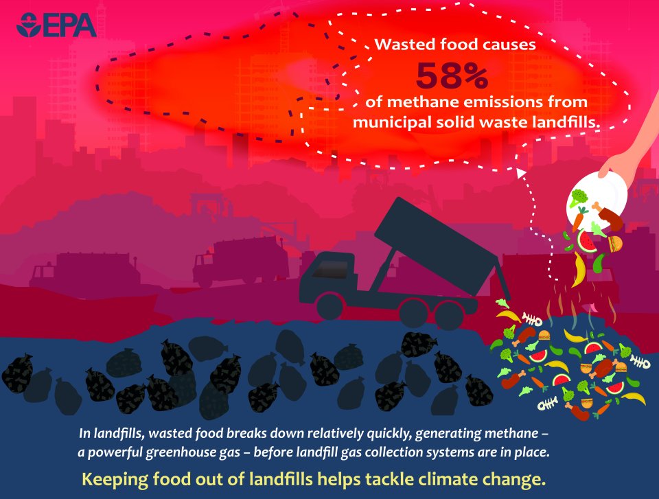 58% of methane emitted from a municipal landfill is from the breakdown of organic material, such as food scraps. 