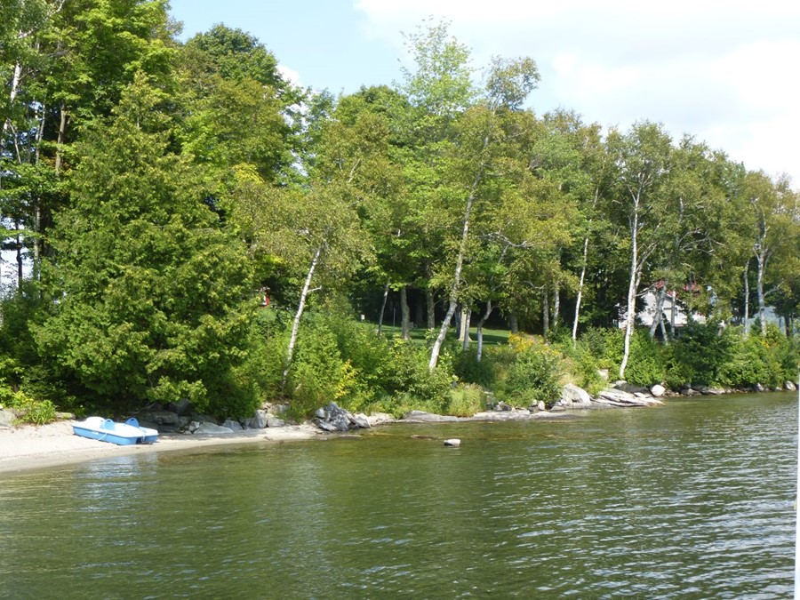 lake shore with green trees and paddle boat