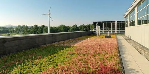 Green infrastructure with wind power in background