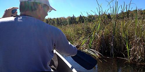 Lake Ninevah sampling