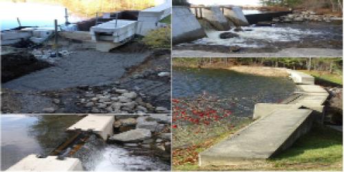 Collage of dam sites