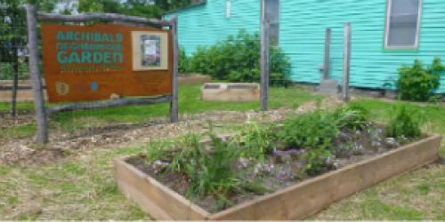 Archibald Street Community Garden