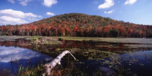 Lake with mountains