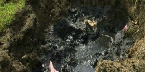 oozing black mud at a failed septic system in Royalton, Vermont