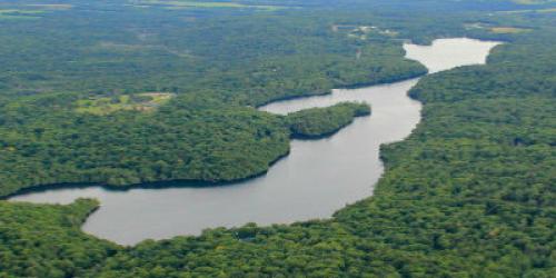 Aerial view of Great Hosmer Pond